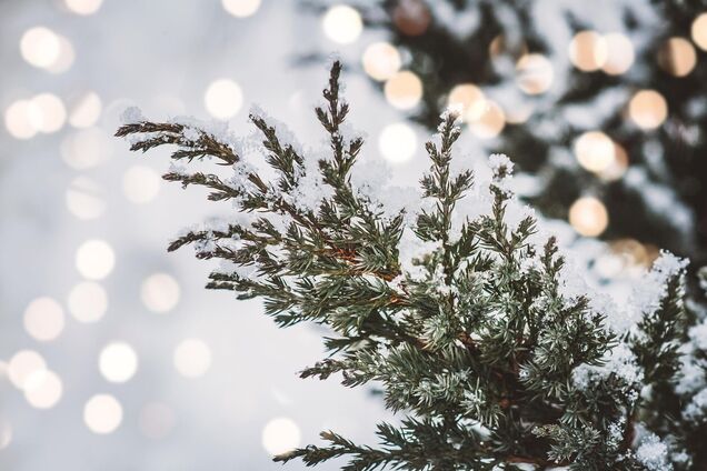 Зимние снегопады: ученые спрогнозировали, сколько осадков ожидается в Европе