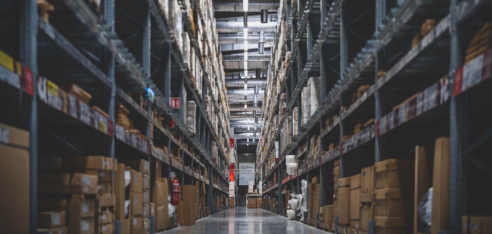 Украинцам рассказали, на кого сейчас самый большой спрос в Польше