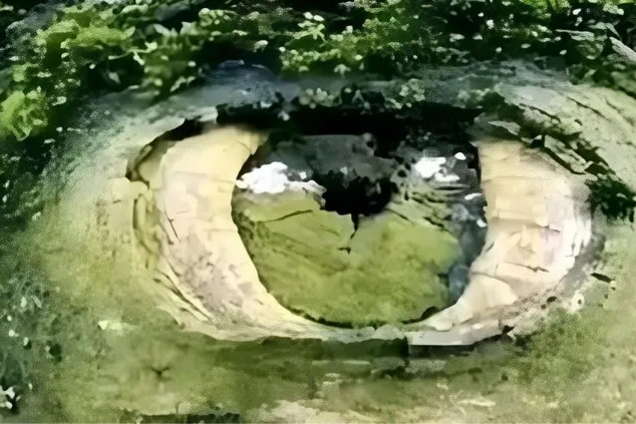 Перше, що побачили, розкриє ваш характер: швидкий тест