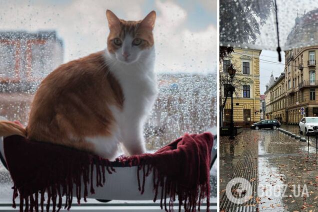 Украину накроют дожди с туманами: синоптики дали неутешительный прогноз на среду