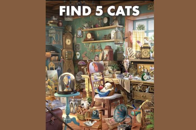 Найдите 5 котов в полном беспорядке: головоломка