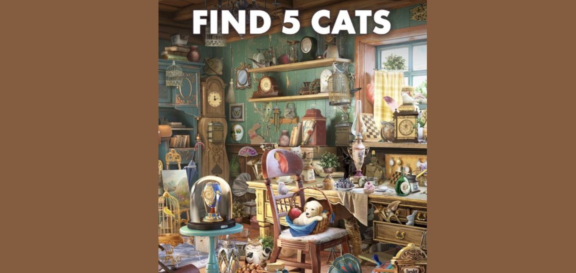 Найдите 5 котов в полном беспорядке: головоломка