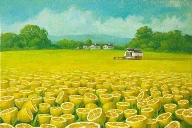 Вы практичный человек или мечтатель? Покажет тест на личность