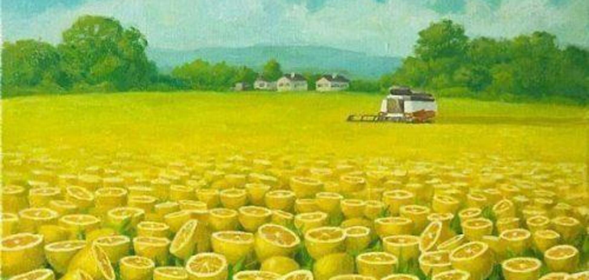 Вы практичный человек или мечтатель? Покажет тест на личность