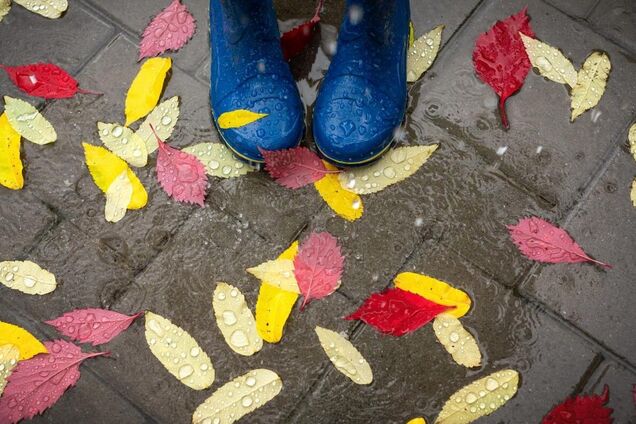 Дожди не прекратятся? Синоптик дала прогноз на среду в Украине. Карта