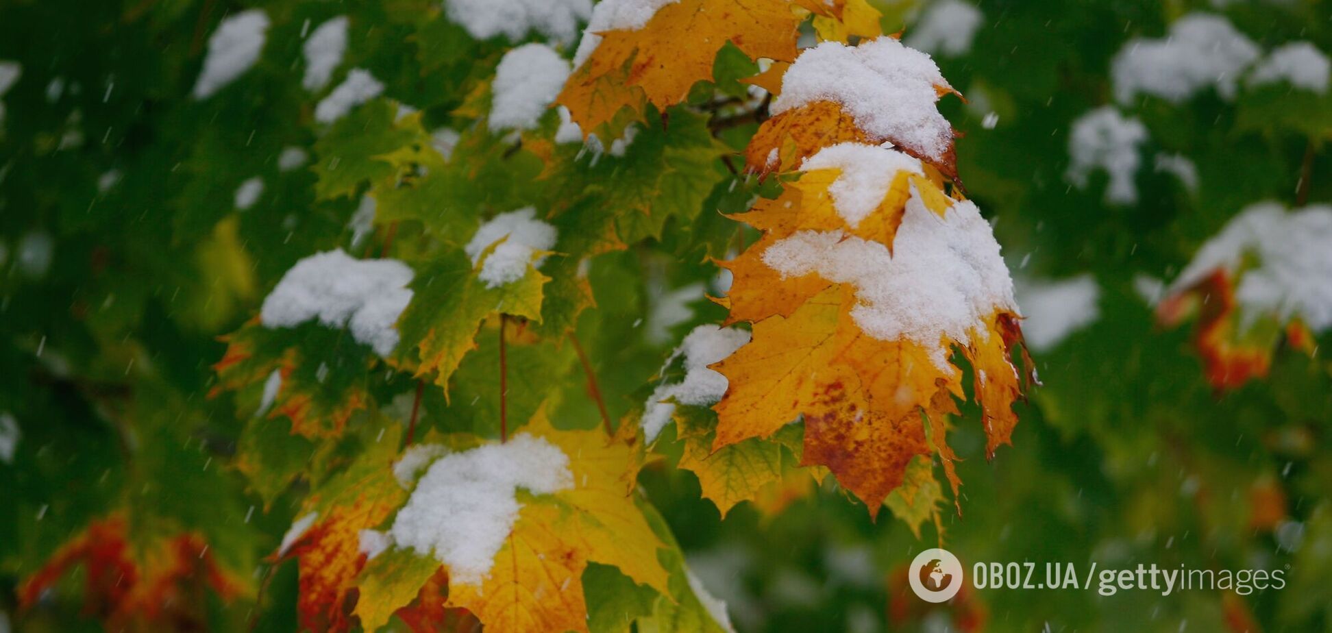 Коли в Україні буде сніг: синоптикиня дала відповідь чи буде 'зима' в листопаді
