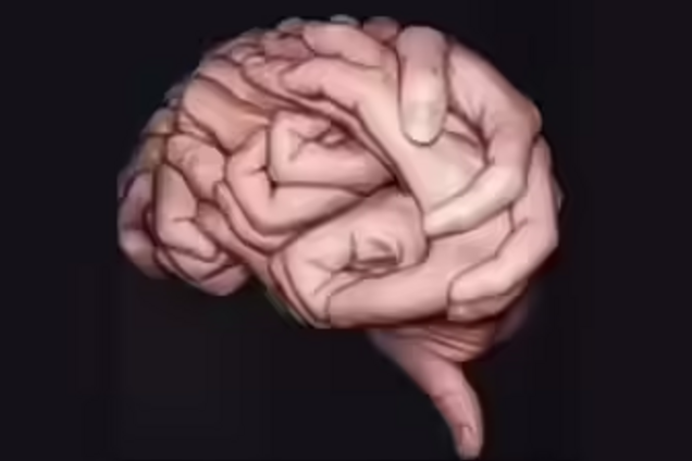 Руки чи мозок? Те, що ви бачите першим, розкриє риси характеру