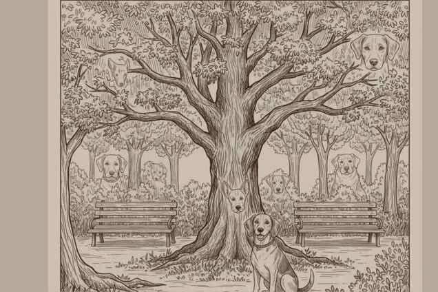 Сколько собак спряталось на рисунке: посчитайте всех