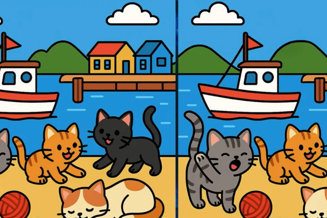Найдите отличия на рисунках с котами: головоломка