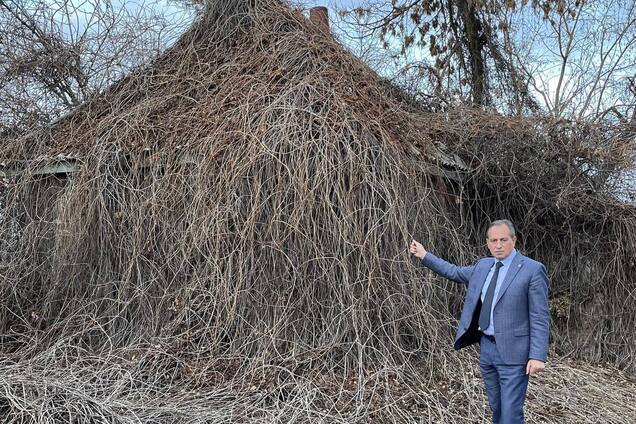 Дом в селе. Николай Томенко