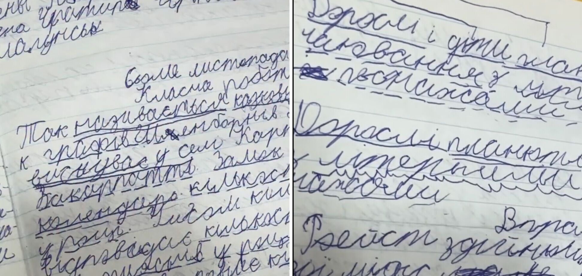 'Сподіваюсь, він майбутній лікар'. Вчителька з Харкова показала зошит школяра і викликала дискусію в мережі