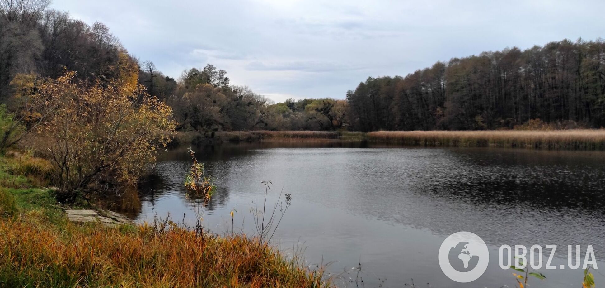 Какой праздник отмечают 23 ноября: все об этом дне