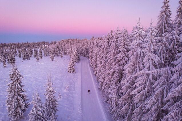Ілюстрація. Зима