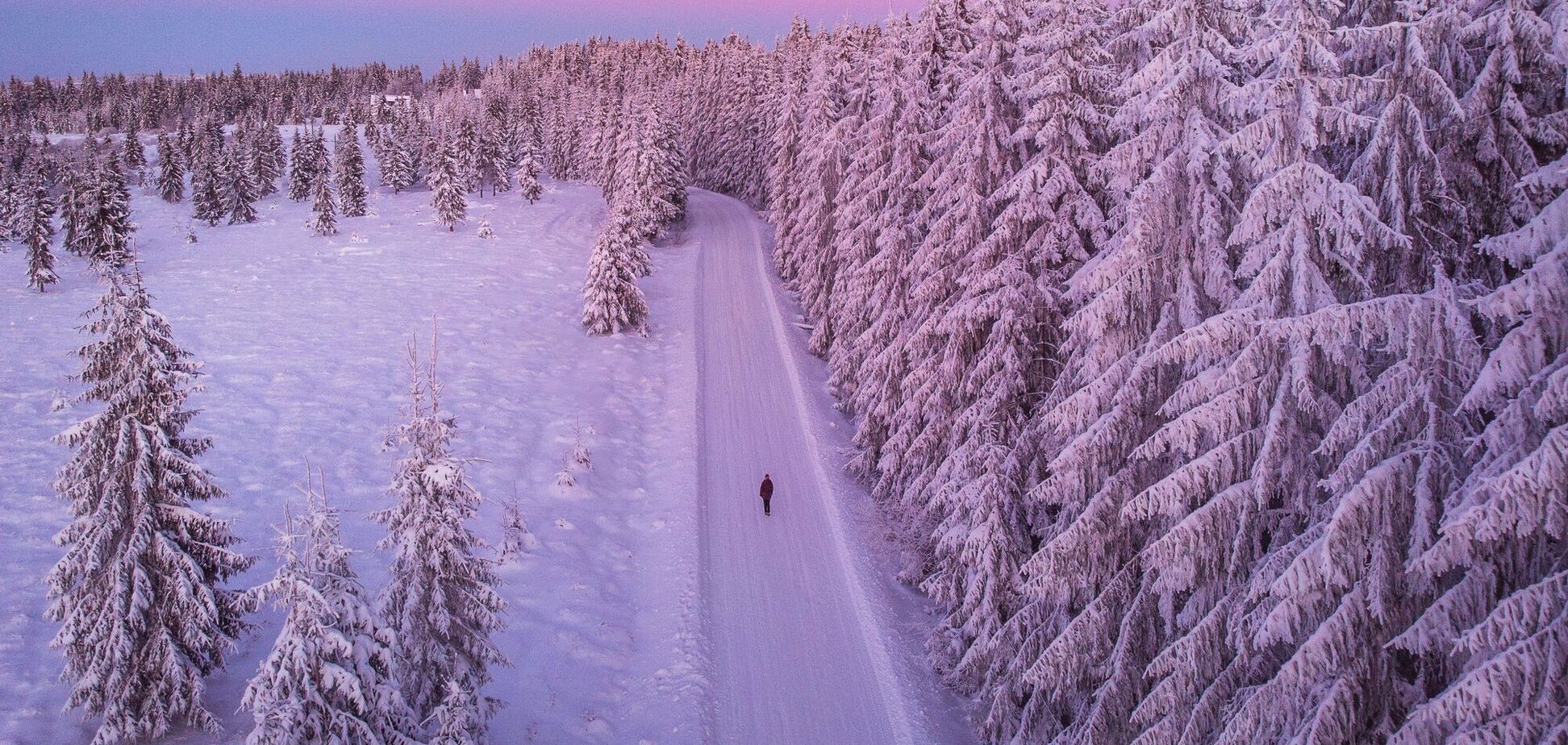 Ілюстрація. Зима