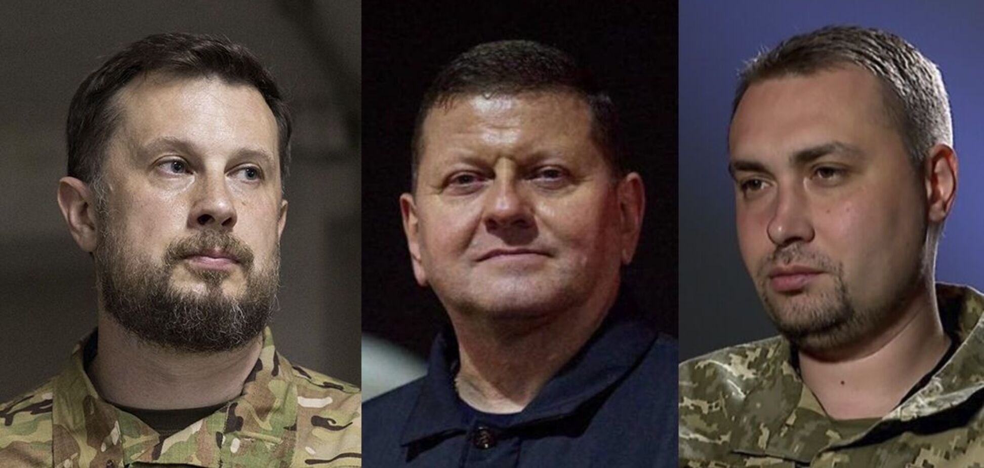 Залужний, Білецький, Буданов. Історик Грицак назвав трьох головних претендентів на пост президента України