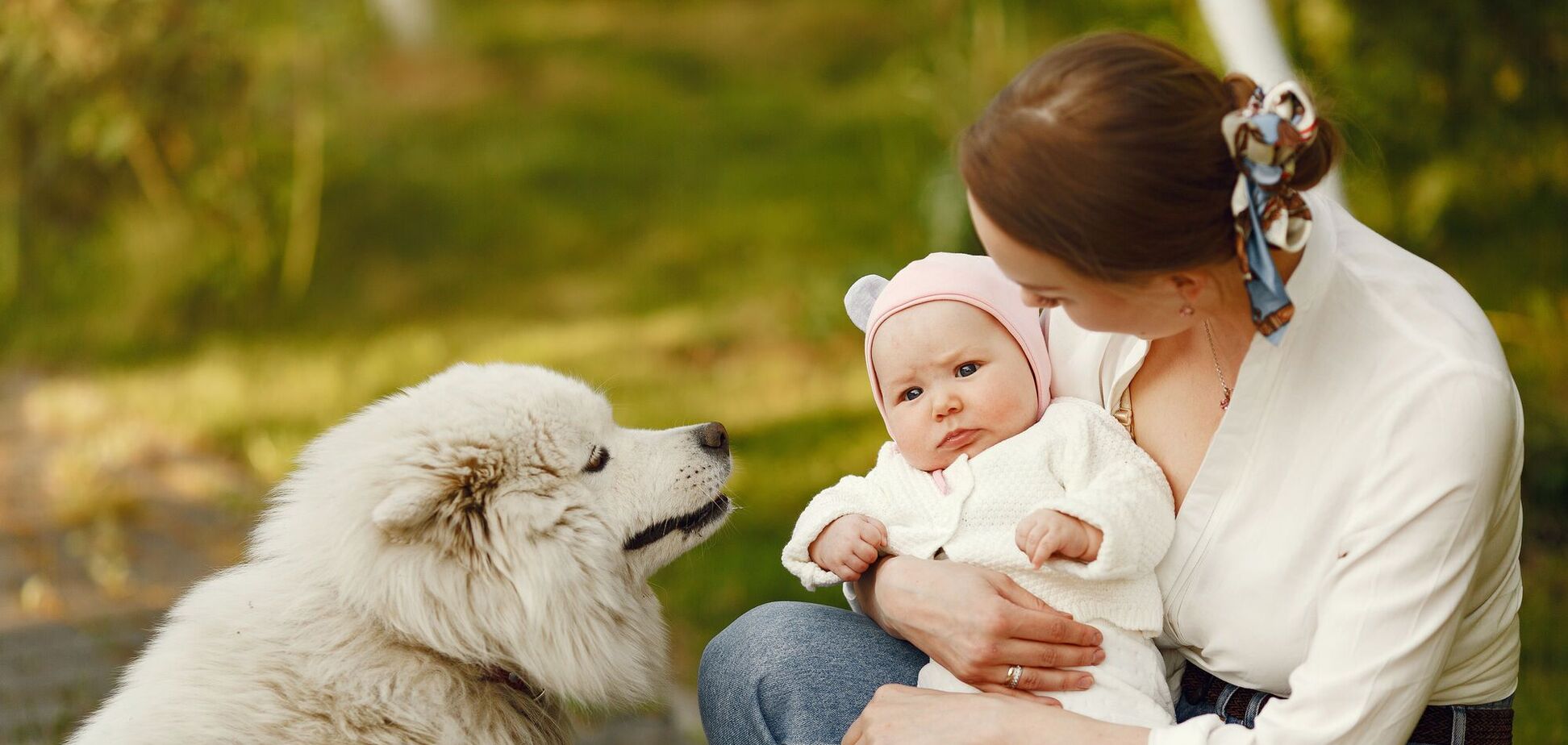 Кінолог назвав породи собак, які можуть вкусити дитину