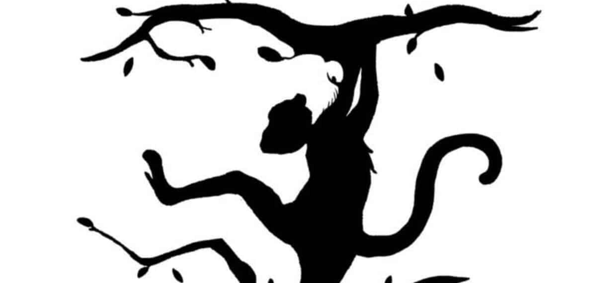 Що побачили першим – тигра чи мавпу? Тест розкриє вашу особистість