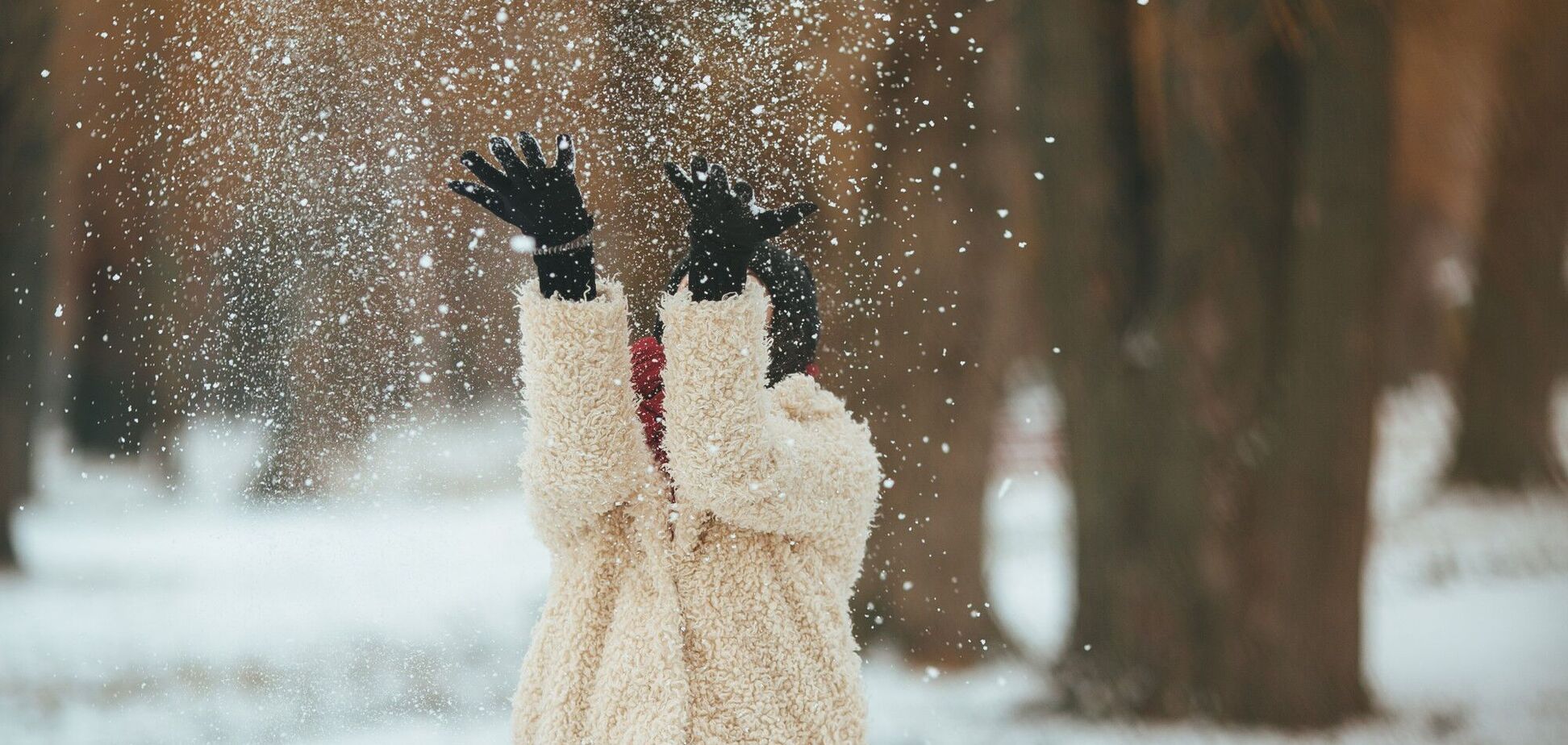 В Україну ввірвуться морози до 4 градусів: синоптикиня розповіла, коли буде сніг і похолодання. Карта