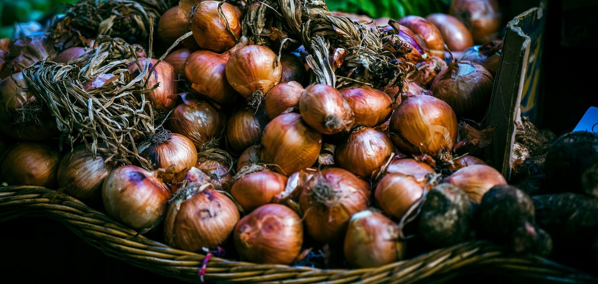 Когда нельзя сажать озимый лук: 'опасные' даты в ноябре