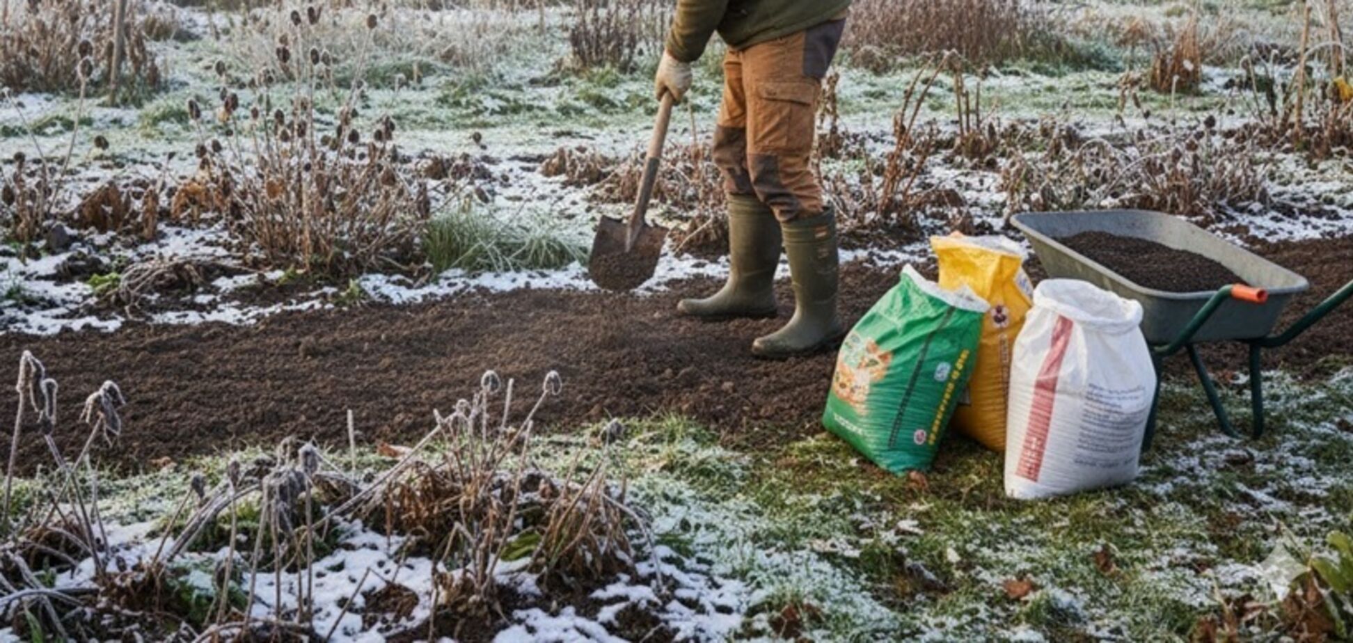 Повысят урожайность: какие удобрения можно вносить даже по снегу