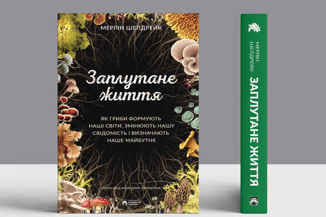Духи, лимонная кислота, медоносные пчелы: при чем здесь грибы?