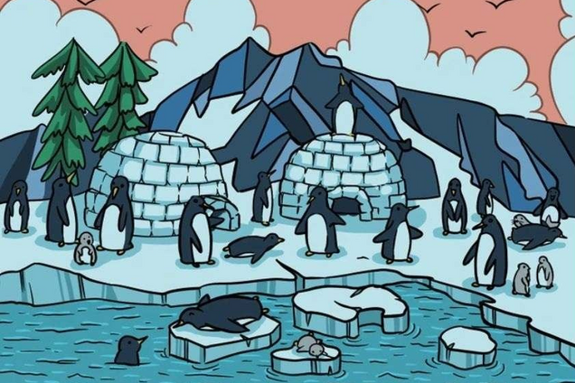 Есть всего 15 секунд: найдите на рисунке морского котика