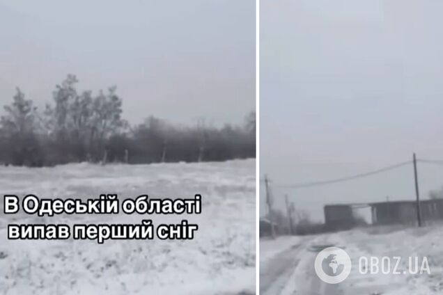 Перший подих зими: на Одещині випав сніг. Відео