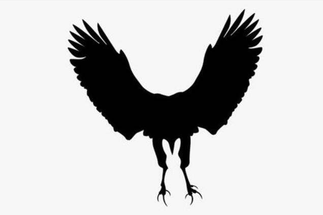 Кролик или орел? Что вы увидели первым на рисунке