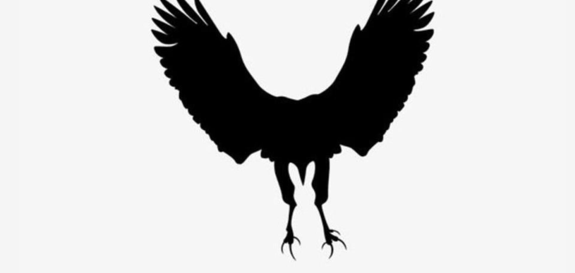 Кролик или орел? Что вы увидели первым на рисунке