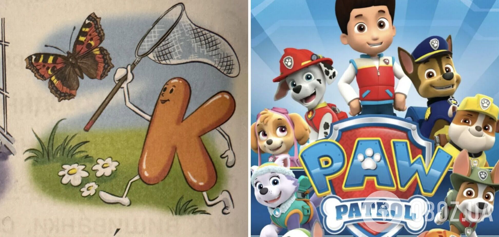 'Метеликів ловити не можна, собаки кістки не їдять'. Українку спантеличили дивні малюнки в букварі та книжках для дітей