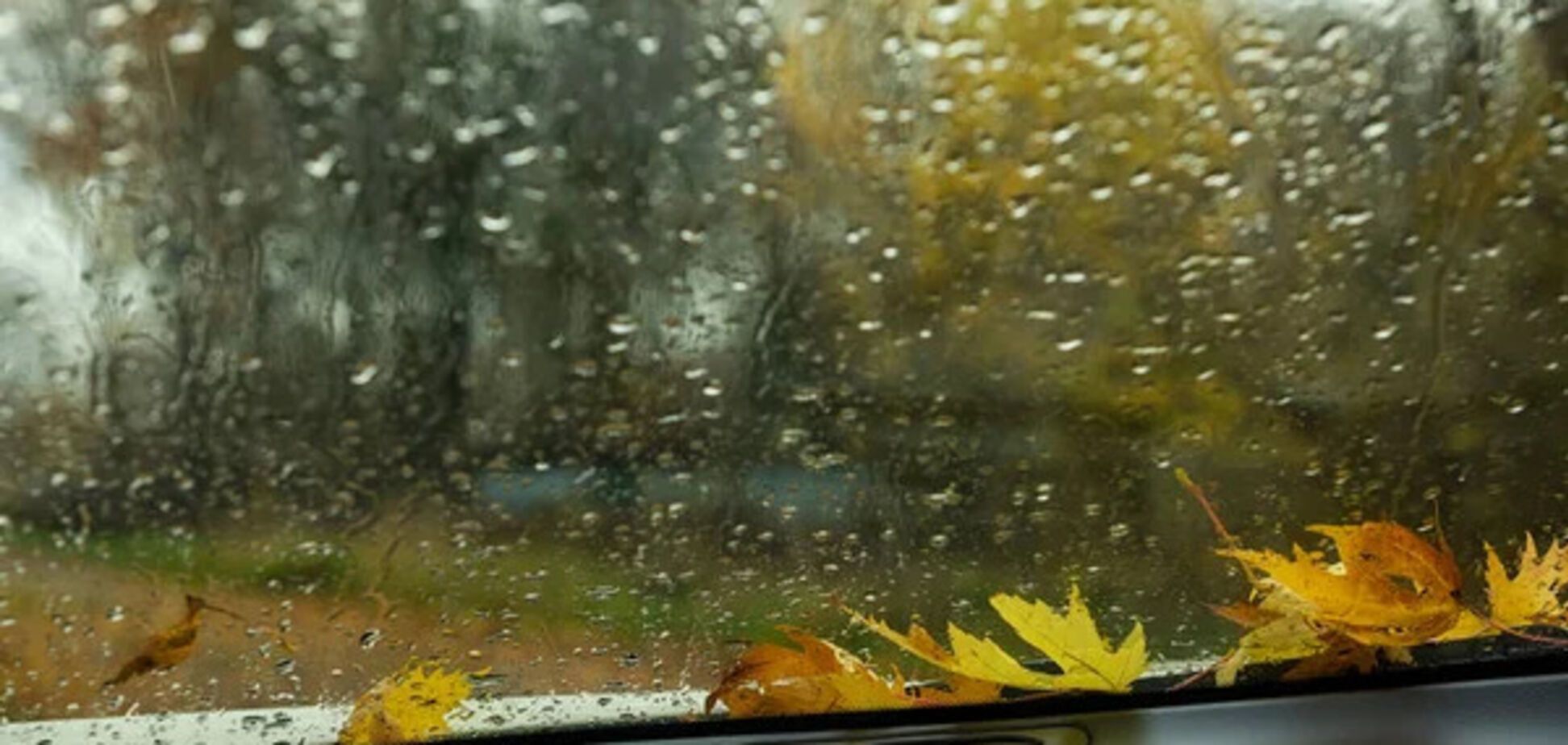 Частину областей накриють дощі: синоптики розповіли, якої погоди чекати на вихідних. Карта