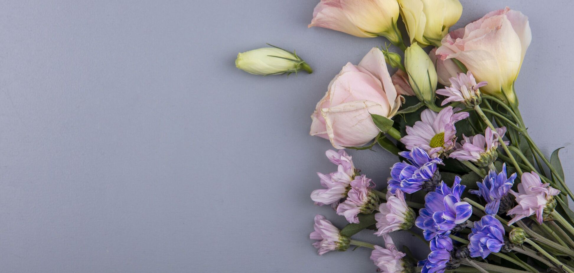 Какой цветок и число являются счастливыми для вашего знака зодиака: приносят энергию и баланс