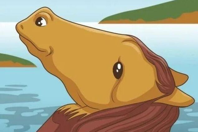 Увидели первой лошадь или лягушку? Тест покажет, как вы реагируете на стресс