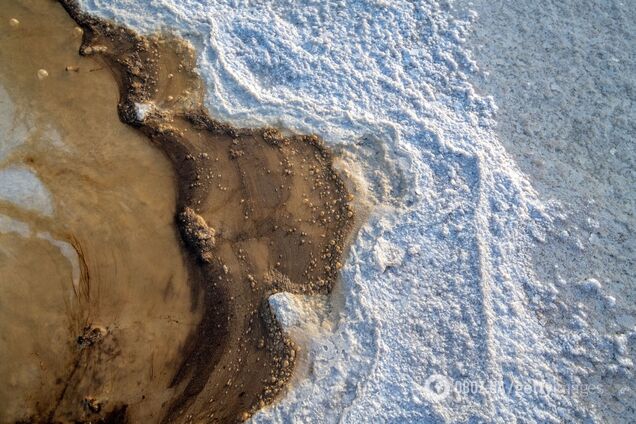 На Земле есть место, притягивающее 'вечные химикаты': почему возникла аномалия