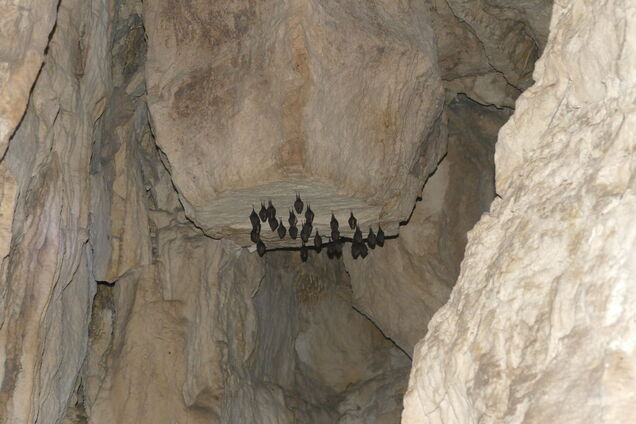 Цікаві місця Тернопільщини