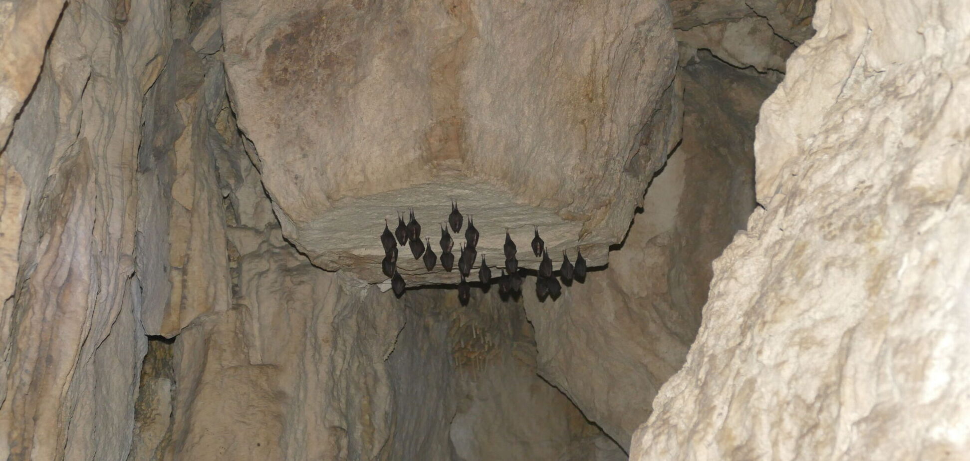 Цікаві місця Тернопільщини