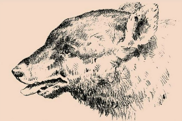 Вы видите лицо мужчины? Непростая оптическая иллюзия