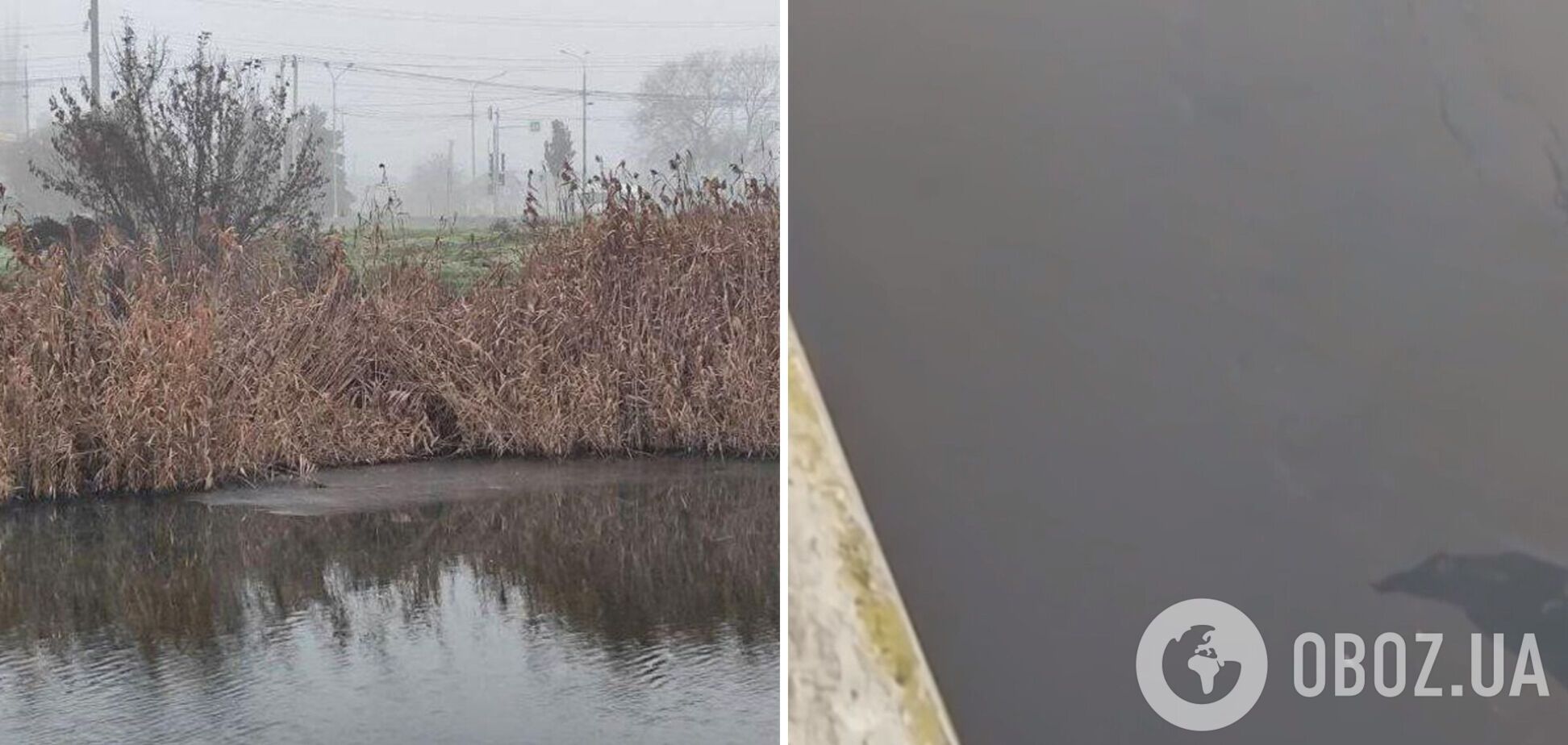 'Екоцид триває': окупанти злили в річку в Маріуполі залишки нафтопродуктів, вода стала чорна. Фото і відео