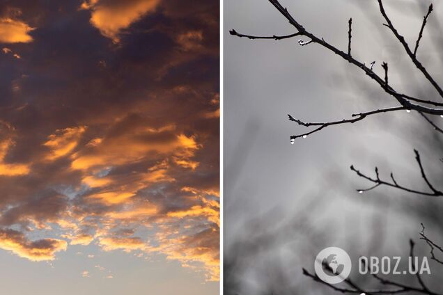 В пятницу Украину накроет теплая воздушная масса: синоптики сказали, где будет до +16 градусов. Карта