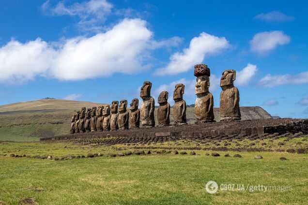 Крысы 'сошли с ума' и уничтожили леса на острове Пасхи: ученые узнали сенсационный факт