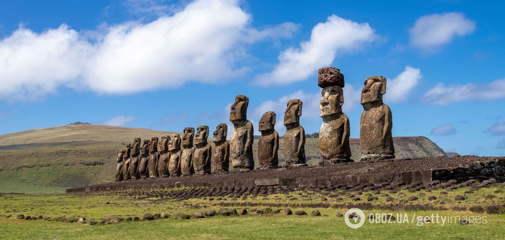 Крысы 'сошли с ума' и уничтожили леса на острове Пасхи: ученые узнали сенсационный факт
