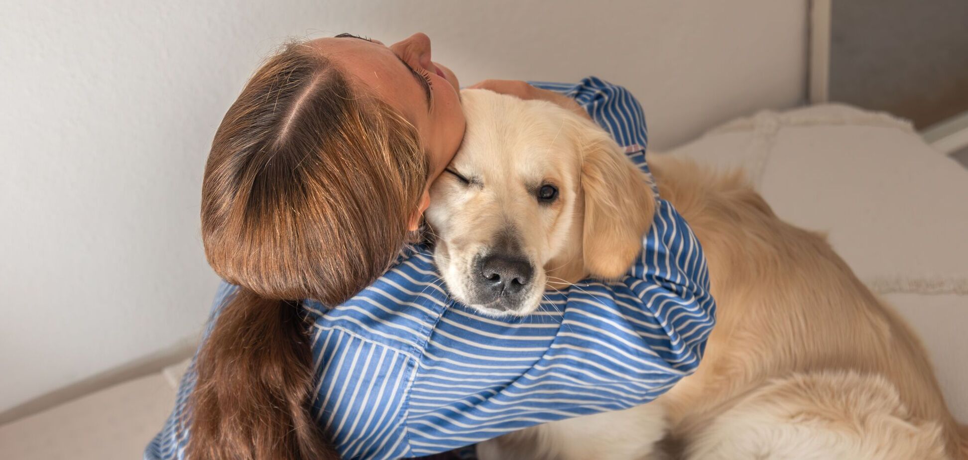 Як зрозуміти, що собака не хоче обіймів: вісім ознак