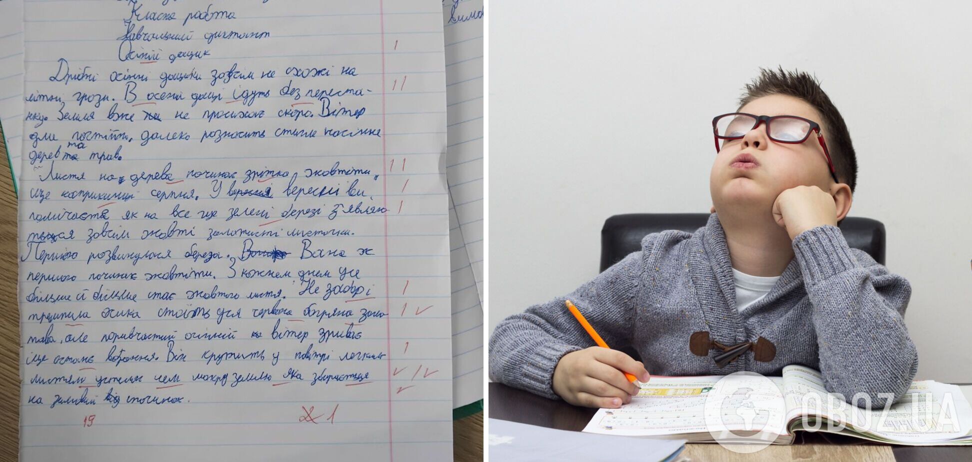 'Ребенок написал страницу текста. Почему поставили 1 балл?' В сети вспыхнула горячая дискуссия из-за критериев оценивания НУШ