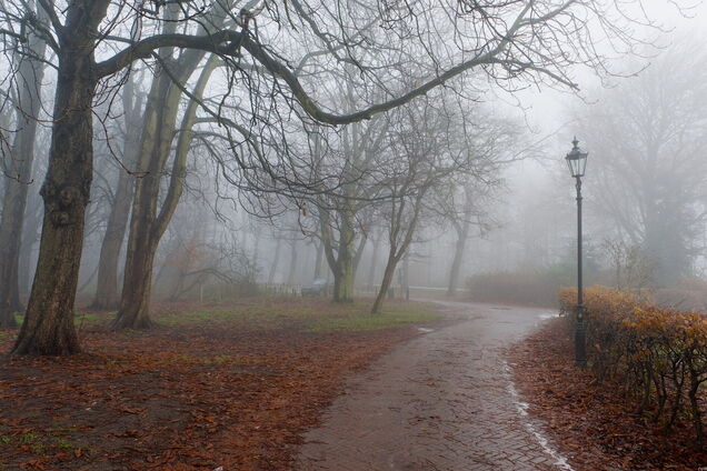 Сонця буде менше: синоптики сказали, де у вівторок пройдуть помірні дощі. Карта