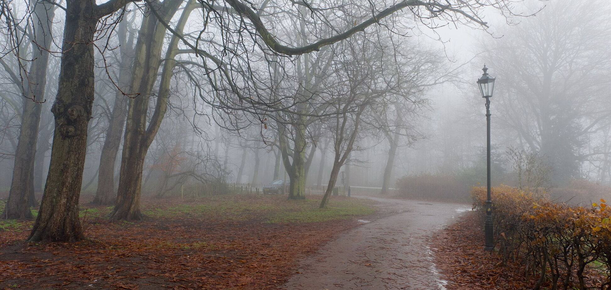 Сонця буде менше: синоптики сказали, де у вівторок пройдуть помірні дощі. Карта