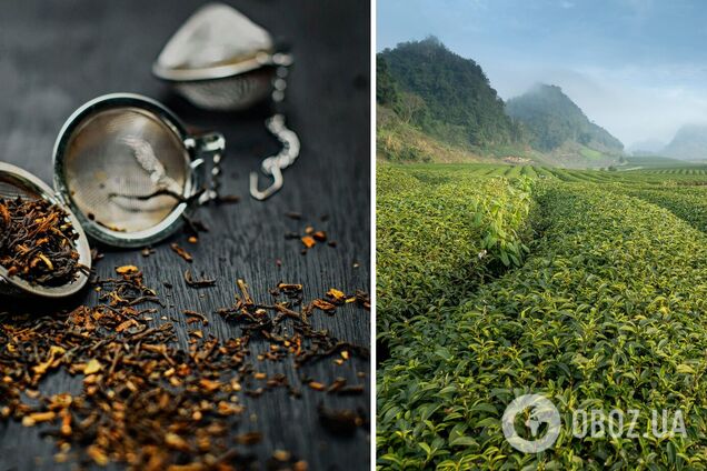 Как правильно заваривать чай