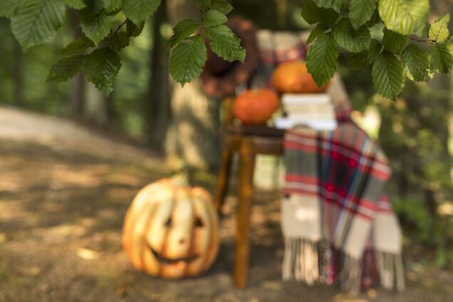 Топ-3 ключових робіт з садівництва, які обов’язково треба виконати восени