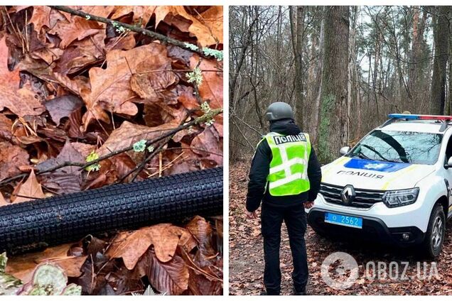 У Києві після ворожої атаки знайшли уламки БПЛА з вибуховими пристроями. Фото