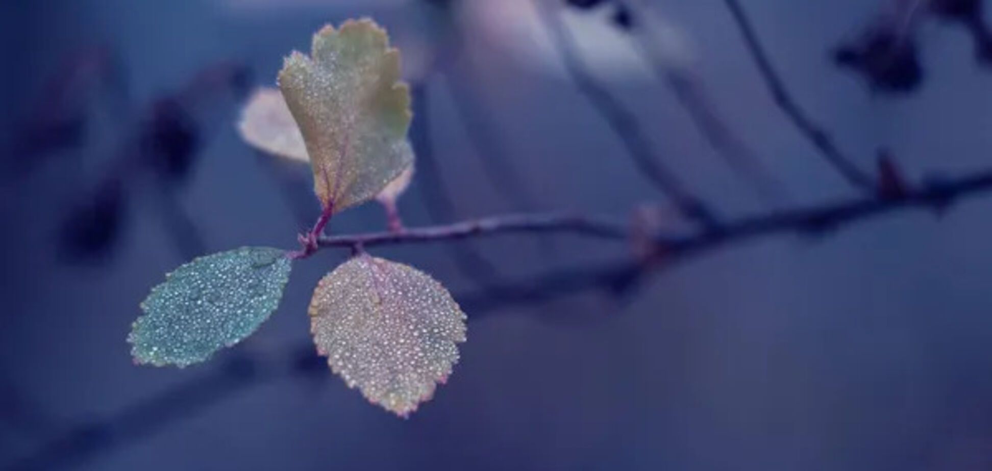 Зима в Україні розпочнеться осінньою погодою: синоптикиня дала прогноз на 1 грудня. Карта