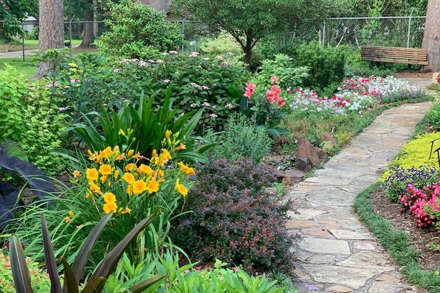 Какие растения будут садовыми трендами в 2026 году: необычная подборка